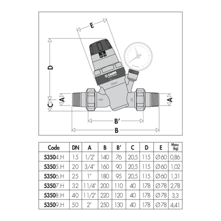 Regulator ciśnienia z wymiennym wkładem z możliwością przyłączenia manometru 3/4" praca w wysokiej temperaturze