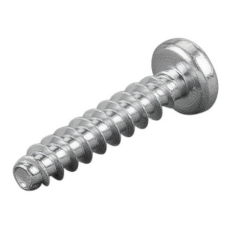 Śruba soczewkowa PT 4x20