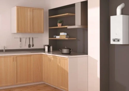 Podgrzew.przepływ.gaz. FAST R X ONM 11NG/stand/GZ50-ARISTON