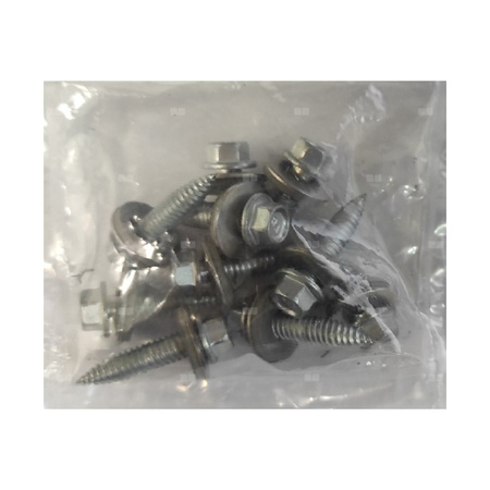 Worek z wkrętami do platformy balastu (10 szt.) PB076