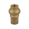 Zawór zwrotny FERRO z mosiężnym koszem ssącym - 5/4'', Gwint wewnętrzny, PN 10, 100'C