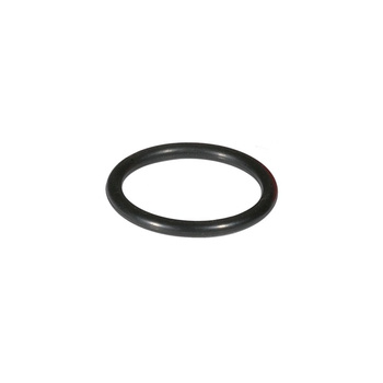 O-RING pod komorę filtracyjną dla F76S-F, DN80