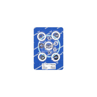 Zestaw napr. CHV 2-40/50 CVBE/V