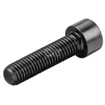 śruba z łbem walcowym