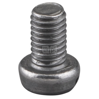 śruba z łbem walcowym