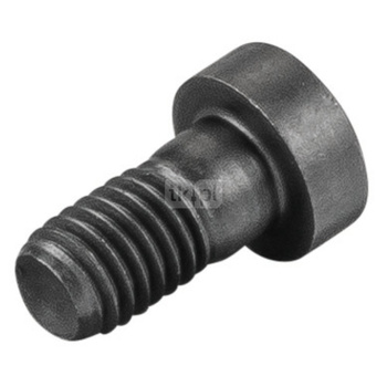 śruba z łbem walcowym