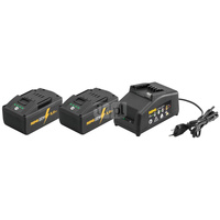 REMS POWER-PACK 22V, 5,0AH AKKU X2 +LADEGERÄT 230 V, 90 W