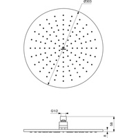 IRAIN DESZCZOWNICA O